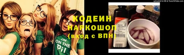 индика Балабаново