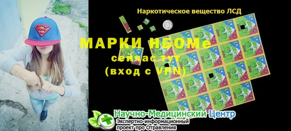 индика Балабаново