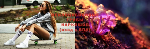 индика Балабаново