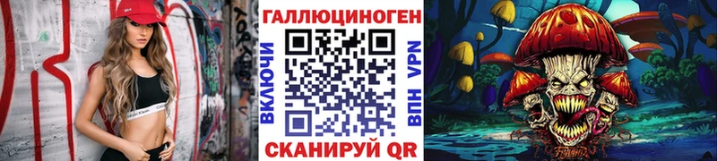 как найти закладки  Тогучин  Псилоцибиновые грибы мухоморы 